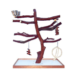 Table Top Gem for Birds by Mountain Manzanita