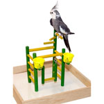 Acrobird 14" Carousel Bird Perch MCB by Caitec