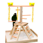 Acrobird 20" Pyramid Bird Perch PB20 by Caitec