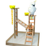 Acrobird 24" Playland Bird Perch PL24 by Caitec