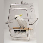 Large Wingabago Carrier for Birds by Playful Parrot