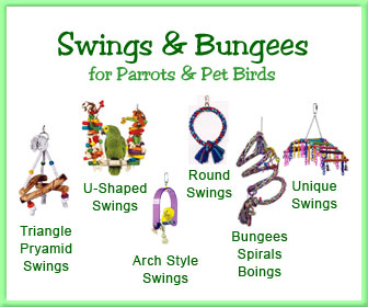 Bird Swings, Parrot Swings, Bird Bungee, Parrot Rope Swing