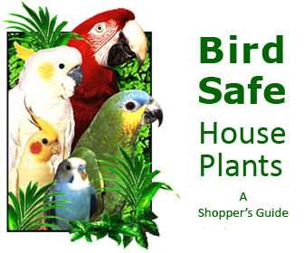 bird safe house cleaning products