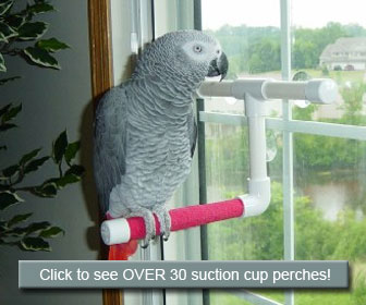 PIVBY Bird Perch Stand Portable Suction Cup Bird Window and Shower Perch Toy for Bird Parrot Macaw Cockatoo African Greys Budgies Parakeet Cockatiel Conure Lovebirds Bath Perch Toy 