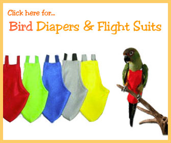 Bird Diapers