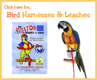 Bird Harness