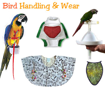 Parrot Handling