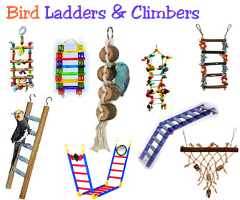 Bird Ladder