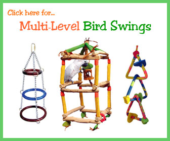 Bird Cage Swings