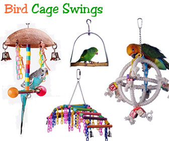 bird cage swing