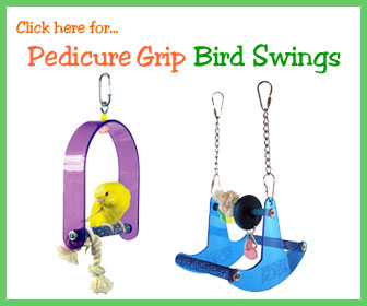 Budgie Swing