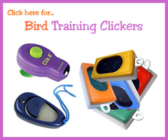 Bird Clicker Training
