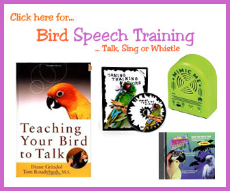 Bird Speech Training
