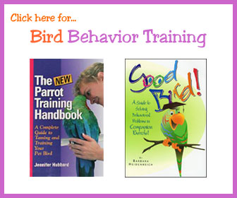 Bird Training