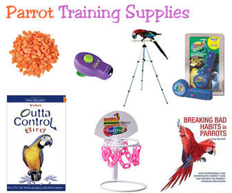 Parrot Training