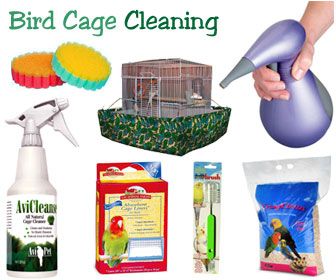 Bird Cage Cleaning