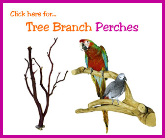 Branch Bird Perch