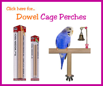Dowel Bird Perches