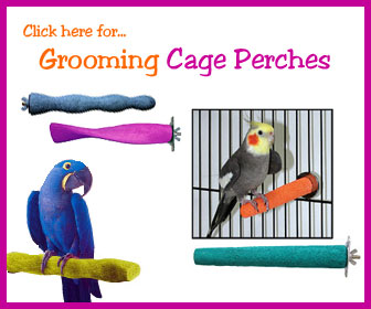 Grooming Bird Perch
