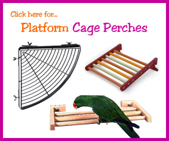 Platform Bird Perch