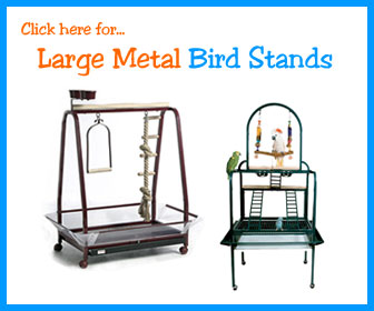 Bird Perch Stands