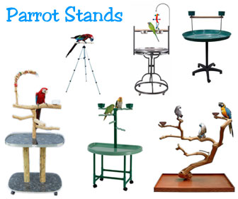 Bird Play Stands