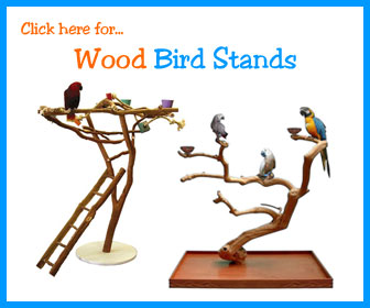 Parrot Perch Stands