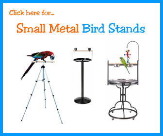 Parrot Play Stands